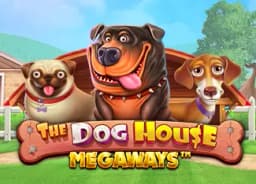 mographtv: The Dog House Megaways